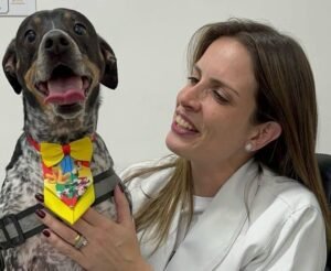 Curta o carnaval, mas não brinque com a saúde do seu pet