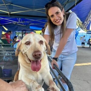 Dra. Ana Veterinária propõe campanha “Adote um novo amigo velhinho”